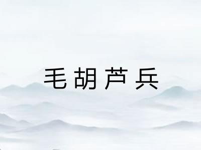 毛胡芦兵