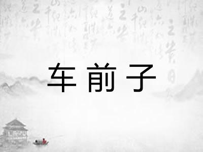车前子