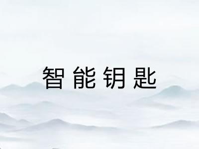 智能钥匙