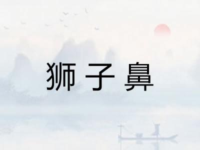 狮子鼻