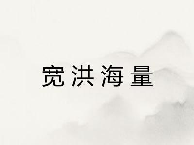 宽洪海量