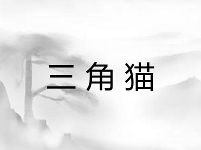 三角猫