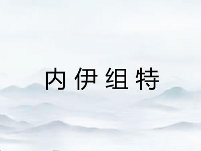 内伊组特