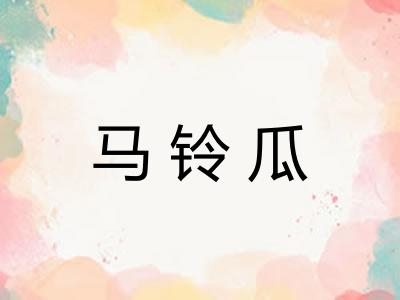 马铃瓜