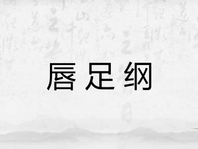 唇足纲