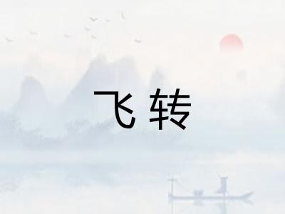 飞转