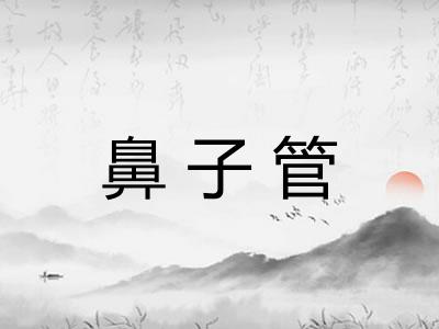 鼻子管