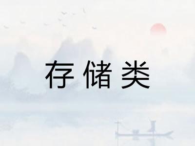 存储类