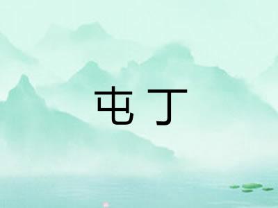 屯丁