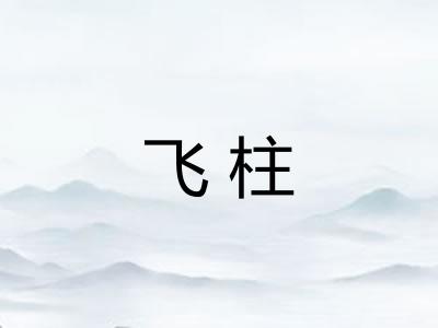 飞柱