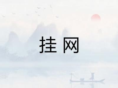 挂网