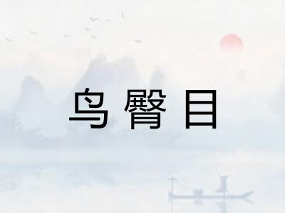 鸟臀目