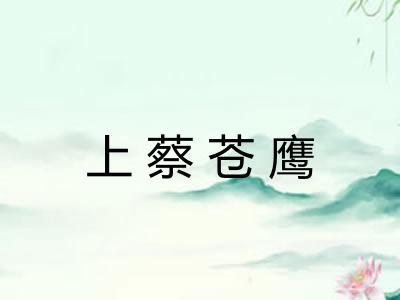 上蔡苍鹰