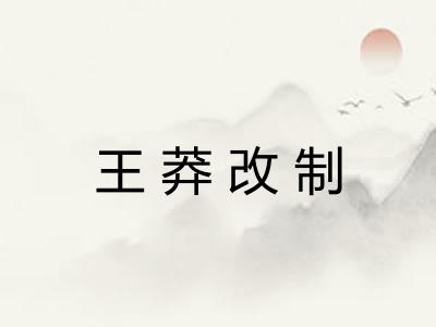 王莽改制