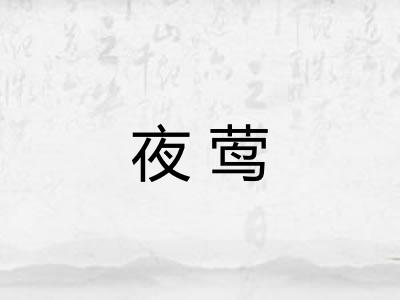 夜莺