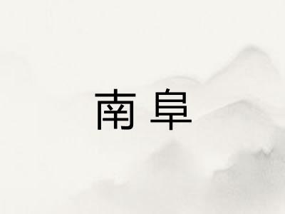 南阜