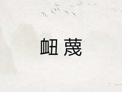 衄蔑