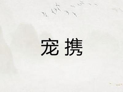 宠携