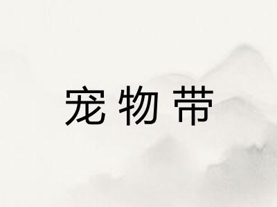 宠物带
