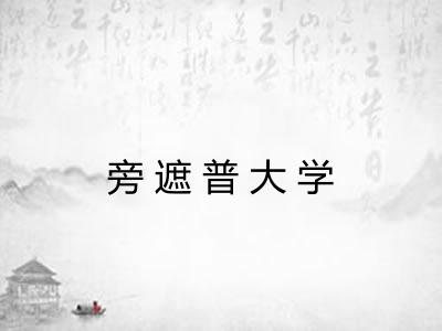 旁遮普大学
