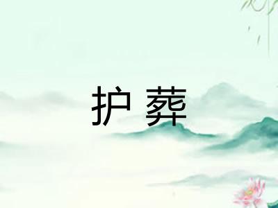 护葬