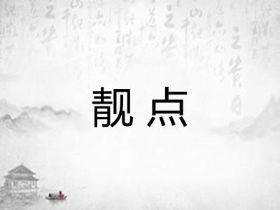 靓点
