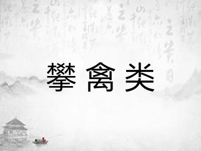 攀禽类