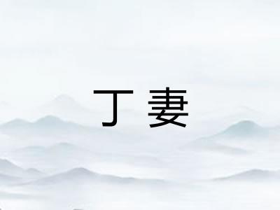 丁妻