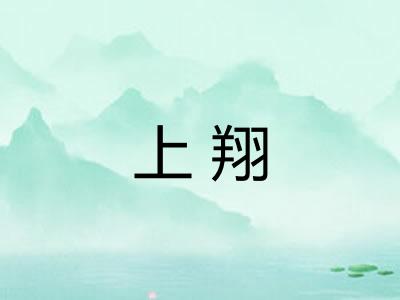 上翔