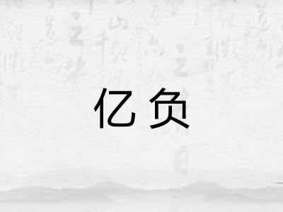 亿负