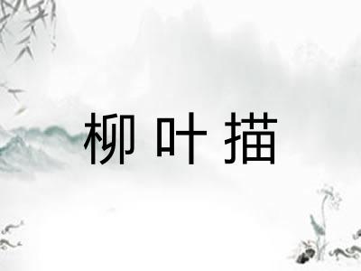 柳叶描