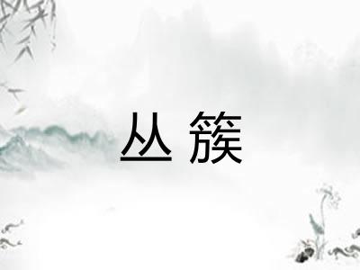 丛簇