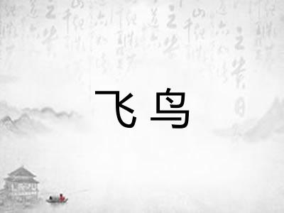 飞鸟