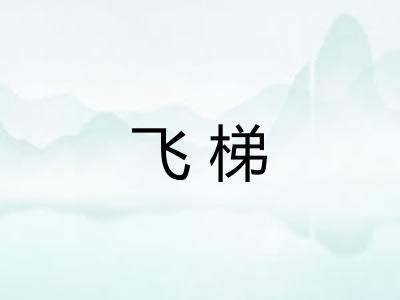飞梯
