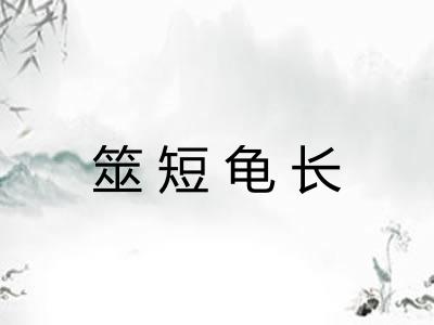 筮短龟长
