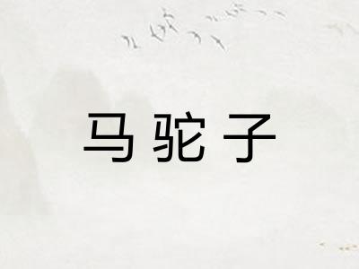 马驼子