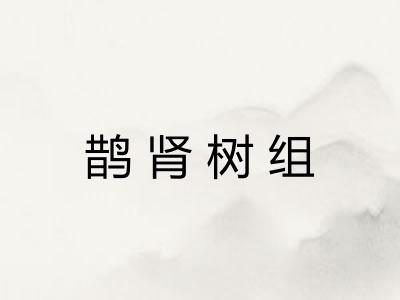 鹊肾树组
