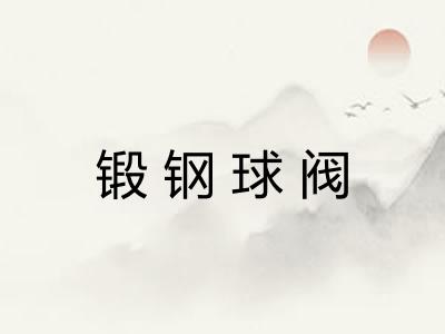 锻钢球阀