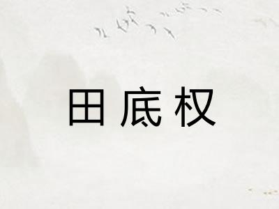 田底权
