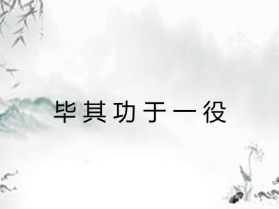 毕其功于一役