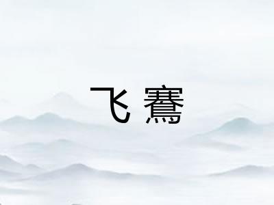 飞鶱