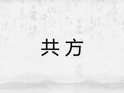 共方