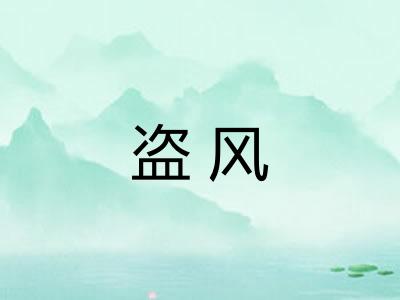 盗风