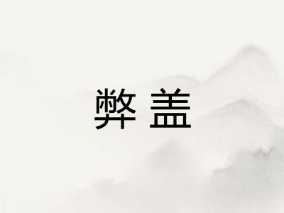 弊盖