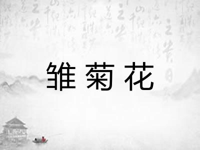 雏菊花