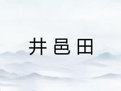 井邑田