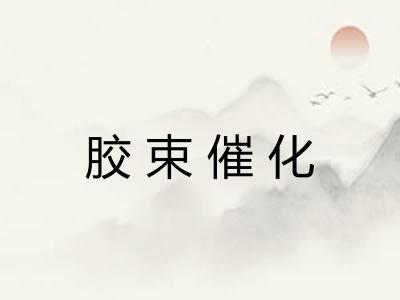 胶束催化