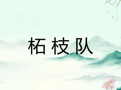 柘枝队