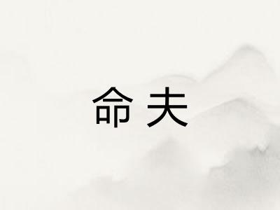 命夫