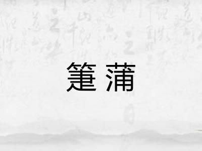 箑蒲